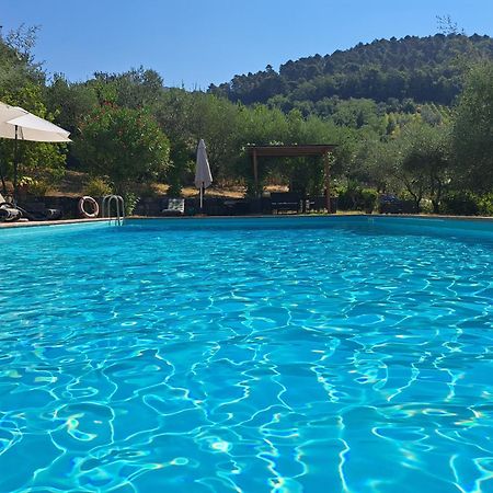 Вилла Agriturismo Poggio All'Olmo Греве-ин-Кьянти Экстерьер фото