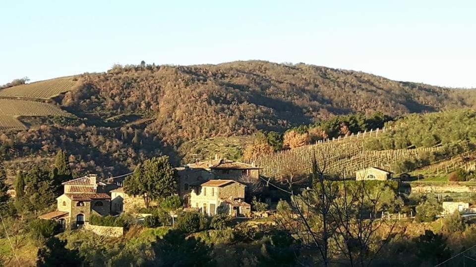 Вилла Agriturismo Poggio All'Olmo Греве-ин-Кьянти Экстерьер фото