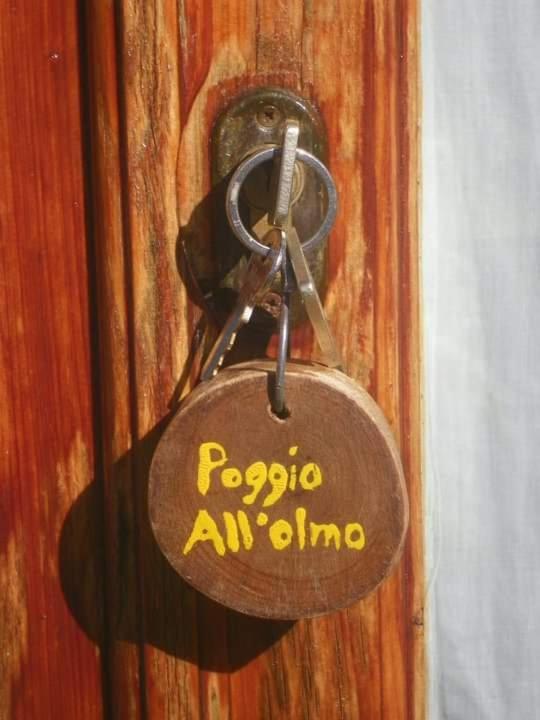 Вилла Agriturismo Poggio All'Olmo Греве-ин-Кьянти Экстерьер фото