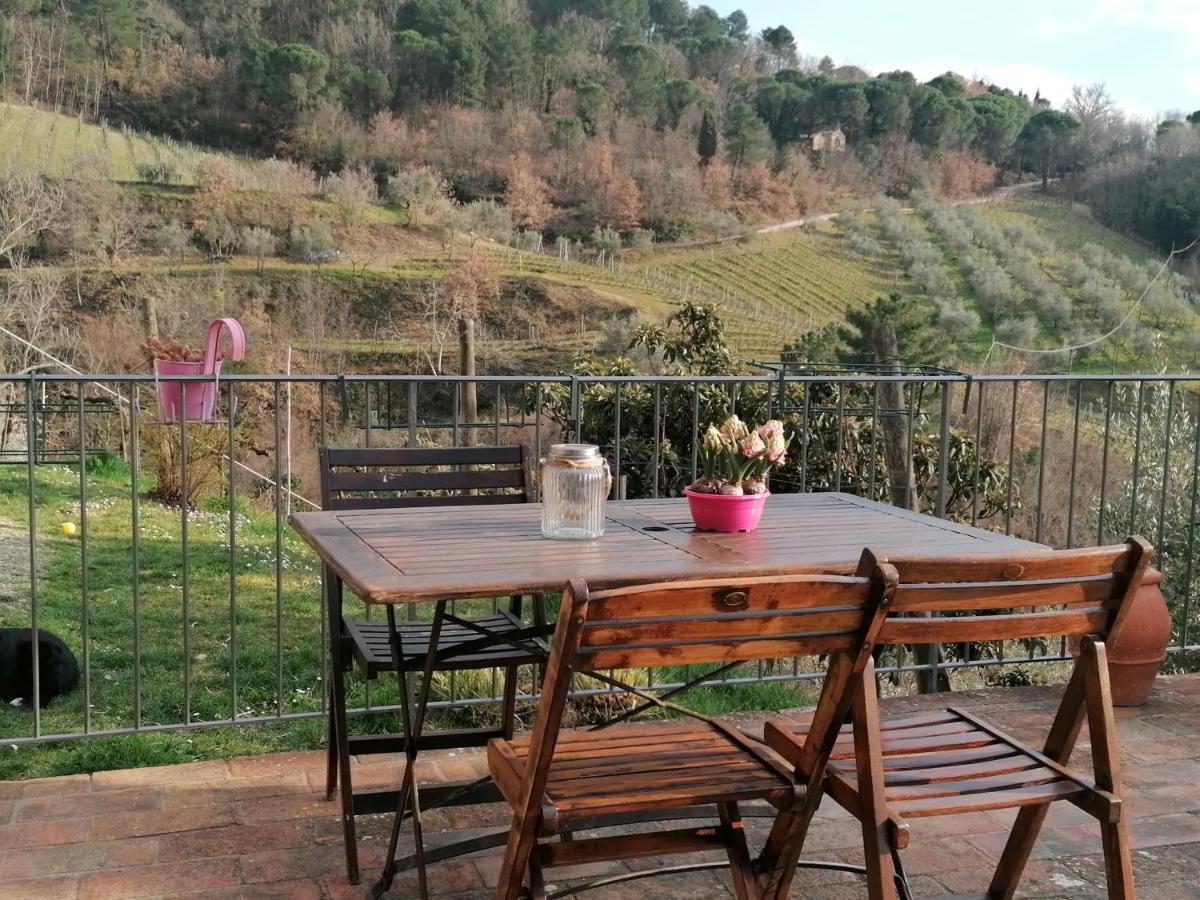 Вилла Agriturismo Poggio All'Olmo Греве-ин-Кьянти Экстерьер фото