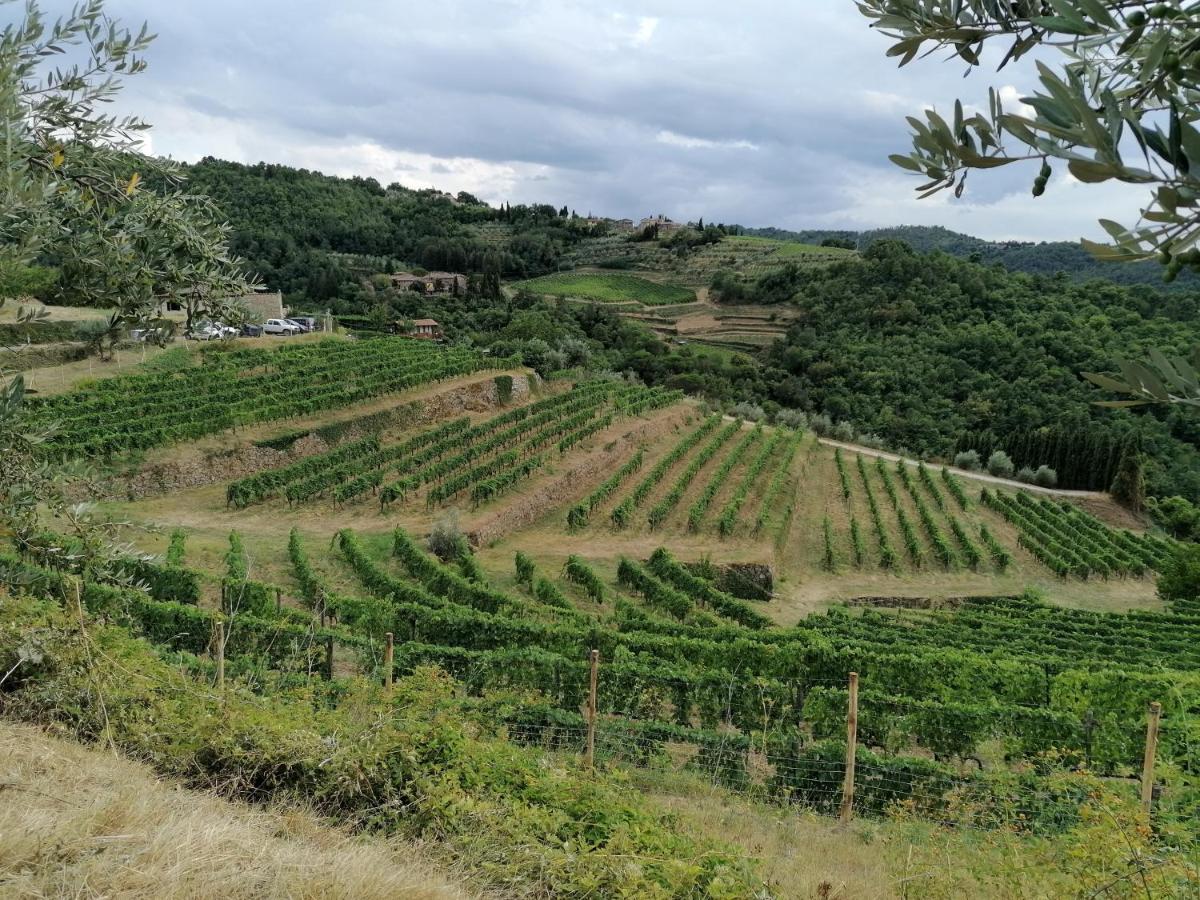 Вилла Agriturismo Poggio All'Olmo Греве-ин-Кьянти Экстерьер фото