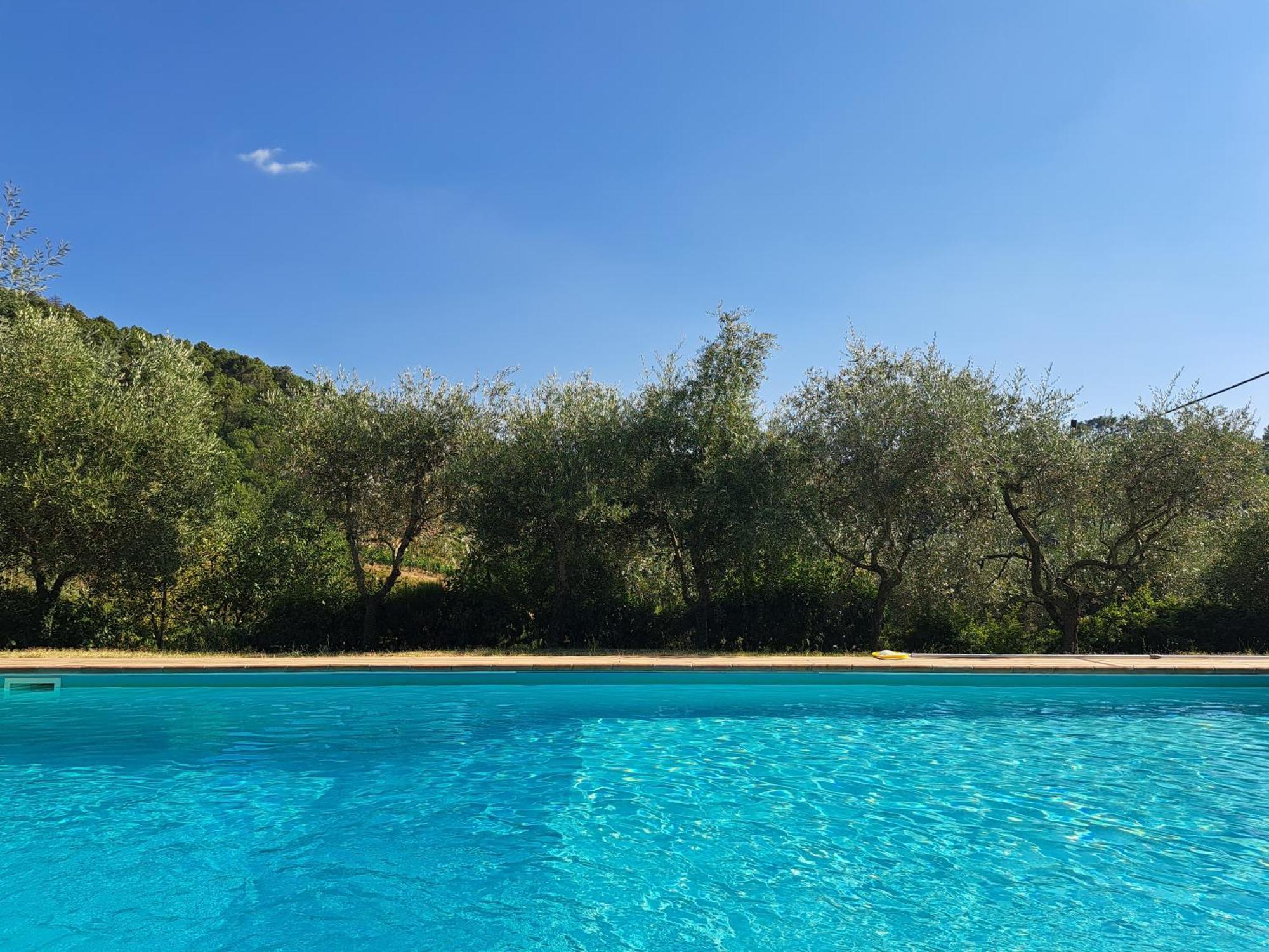 Вилла Agriturismo Poggio All'Olmo Греве-ин-Кьянти Экстерьер фото