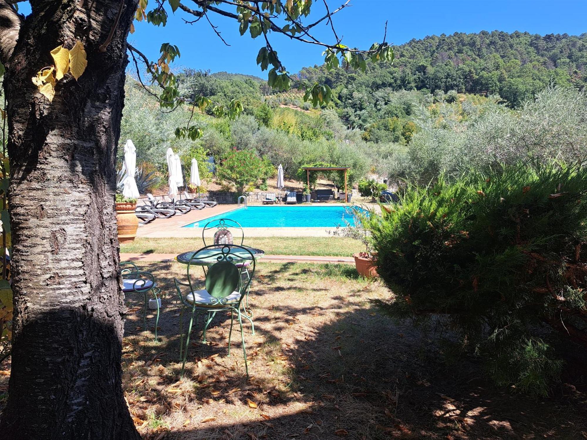 Вилла Agriturismo Poggio All'Olmo Греве-ин-Кьянти Экстерьер фото