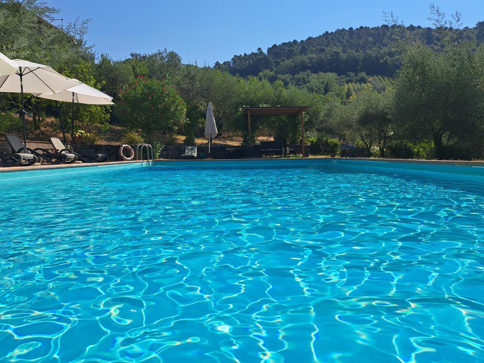 Вилла Agriturismo Poggio All'Olmo Греве-ин-Кьянти Экстерьер фото