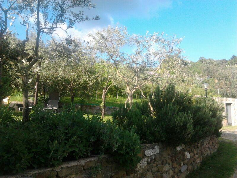 Вилла Agriturismo Poggio All'Olmo Греве-ин-Кьянти Экстерьер фото