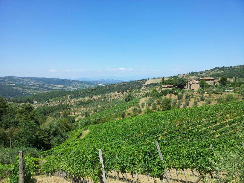 Вилла Agriturismo Poggio All'Olmo Греве-ин-Кьянти Экстерьер фото