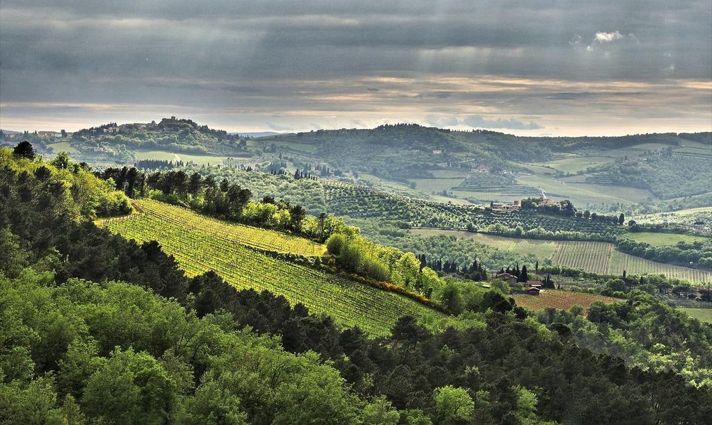 Вилла Agriturismo Poggio All'Olmo Греве-ин-Кьянти Экстерьер фото
