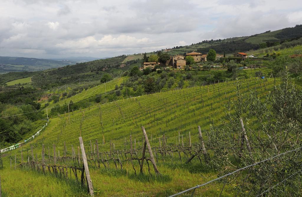 Вилла Agriturismo Poggio All'Olmo Греве-ин-Кьянти Экстерьер фото