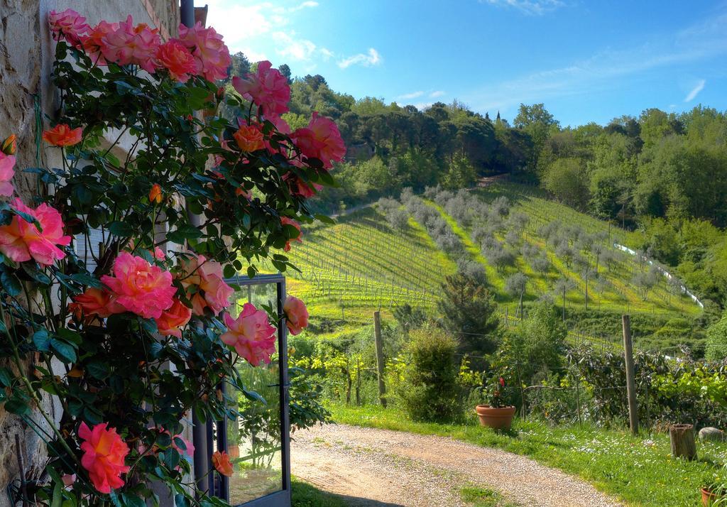 Вилла Agriturismo Poggio All'Olmo Греве-ин-Кьянти Экстерьер фото