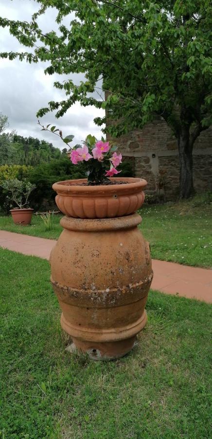 Вилла Agriturismo Poggio All'Olmo Греве-ин-Кьянти Экстерьер фото