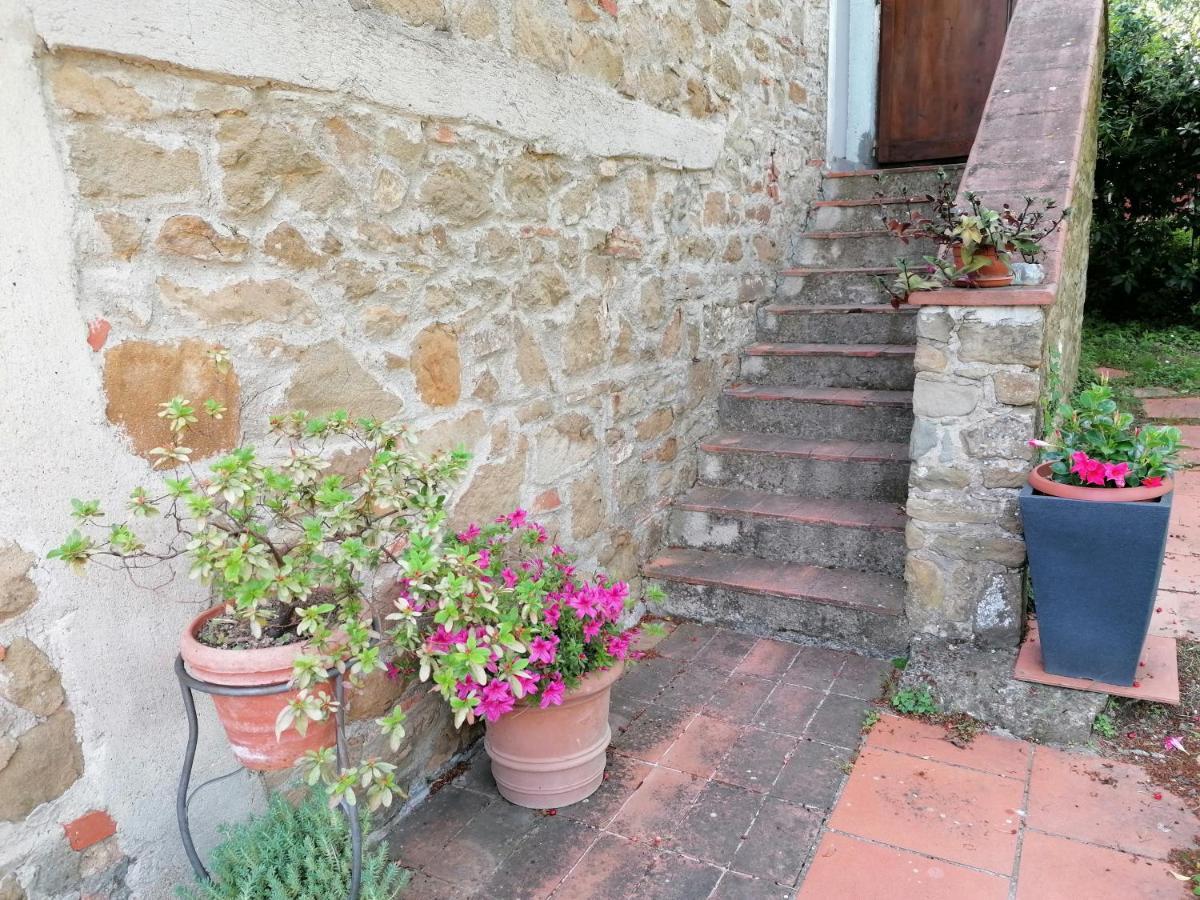 Вилла Agriturismo Poggio All'Olmo Греве-ин-Кьянти Экстерьер фото